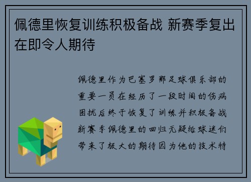 佩德里恢复训练积极备战 新赛季复出在即令人期待